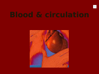 blood & circulation (1).pdf